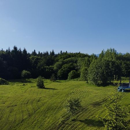 Chamkoria Chalets Borovets Eksteriør bilde