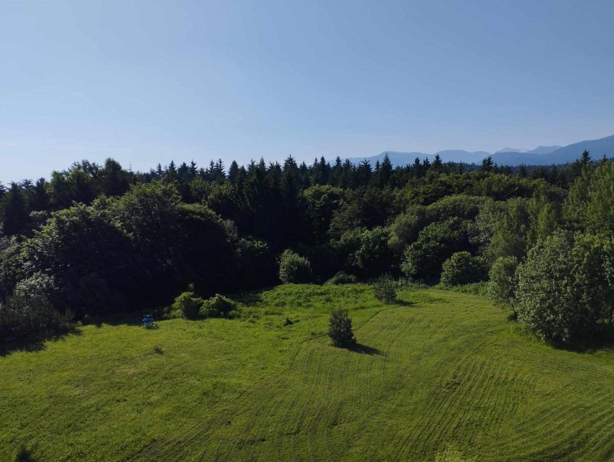 Chamkoria Chalets Borovets Eksteriør bilde