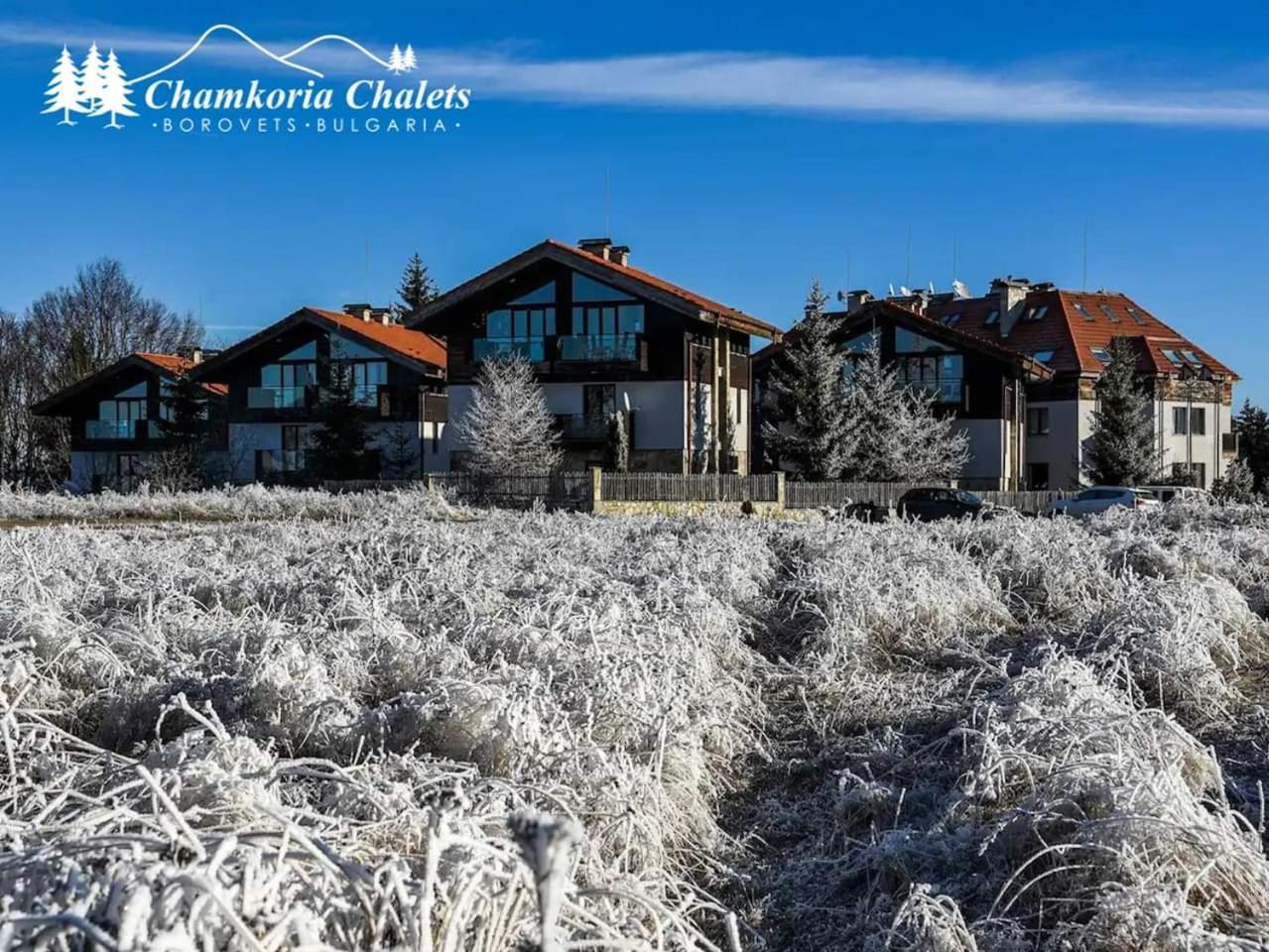 Chamkoria Chalets Borovets Eksteriør bilde